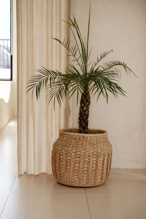 The Luziru Basket - Natural - L_40