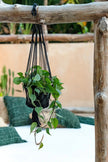 The Macrame Plant Holder - Black - S_40