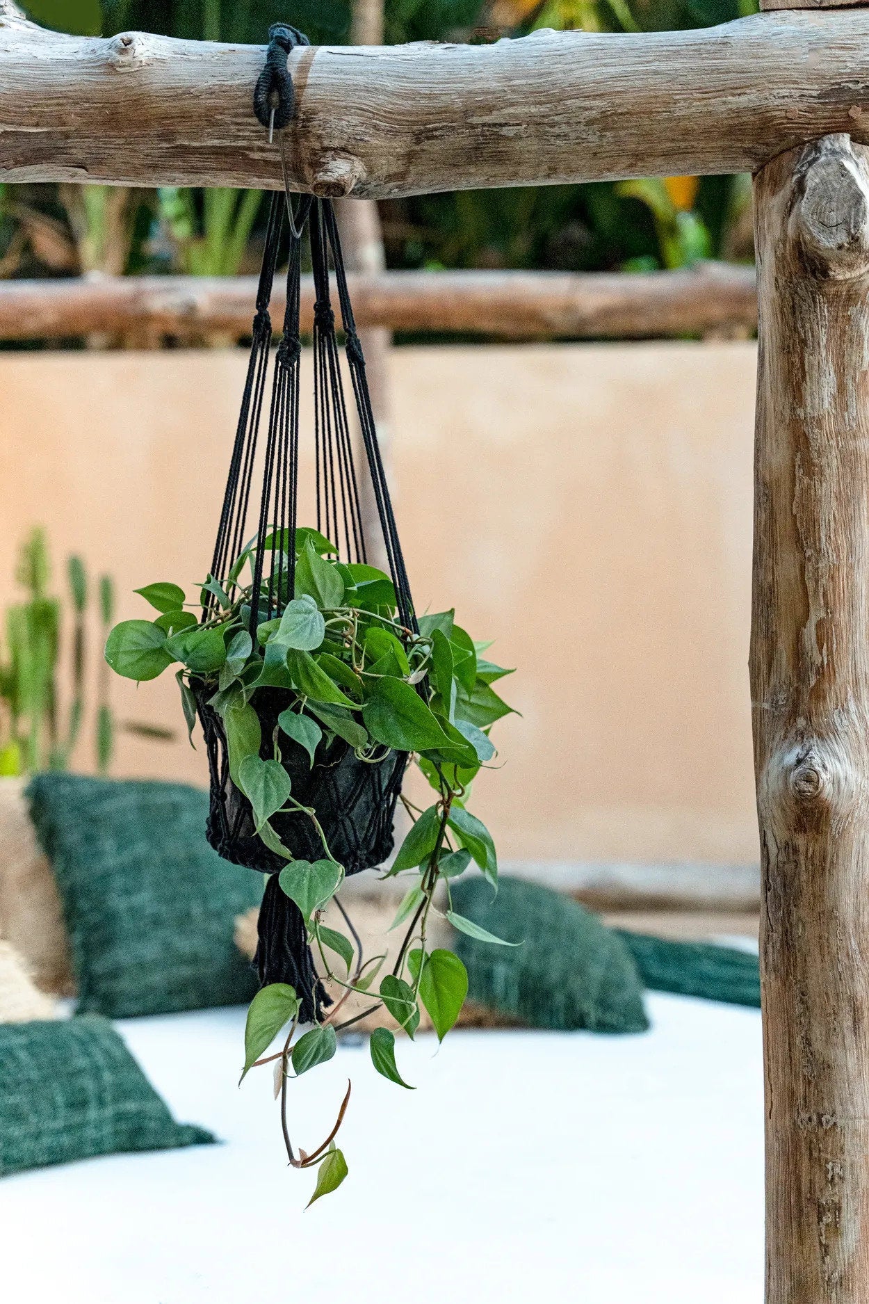 The Macrame Plant Holder - Black - S_40