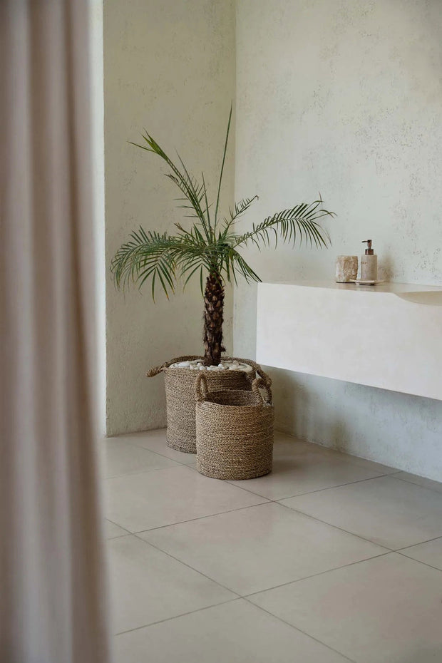 The Sensity Baskets - Natural - M