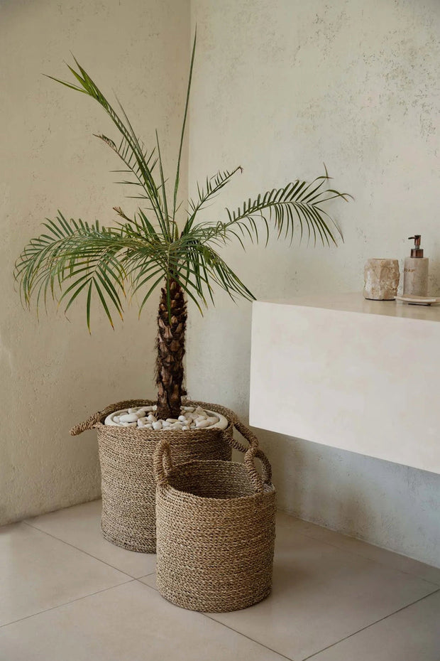 The Sensity Baskets - Natural - XL