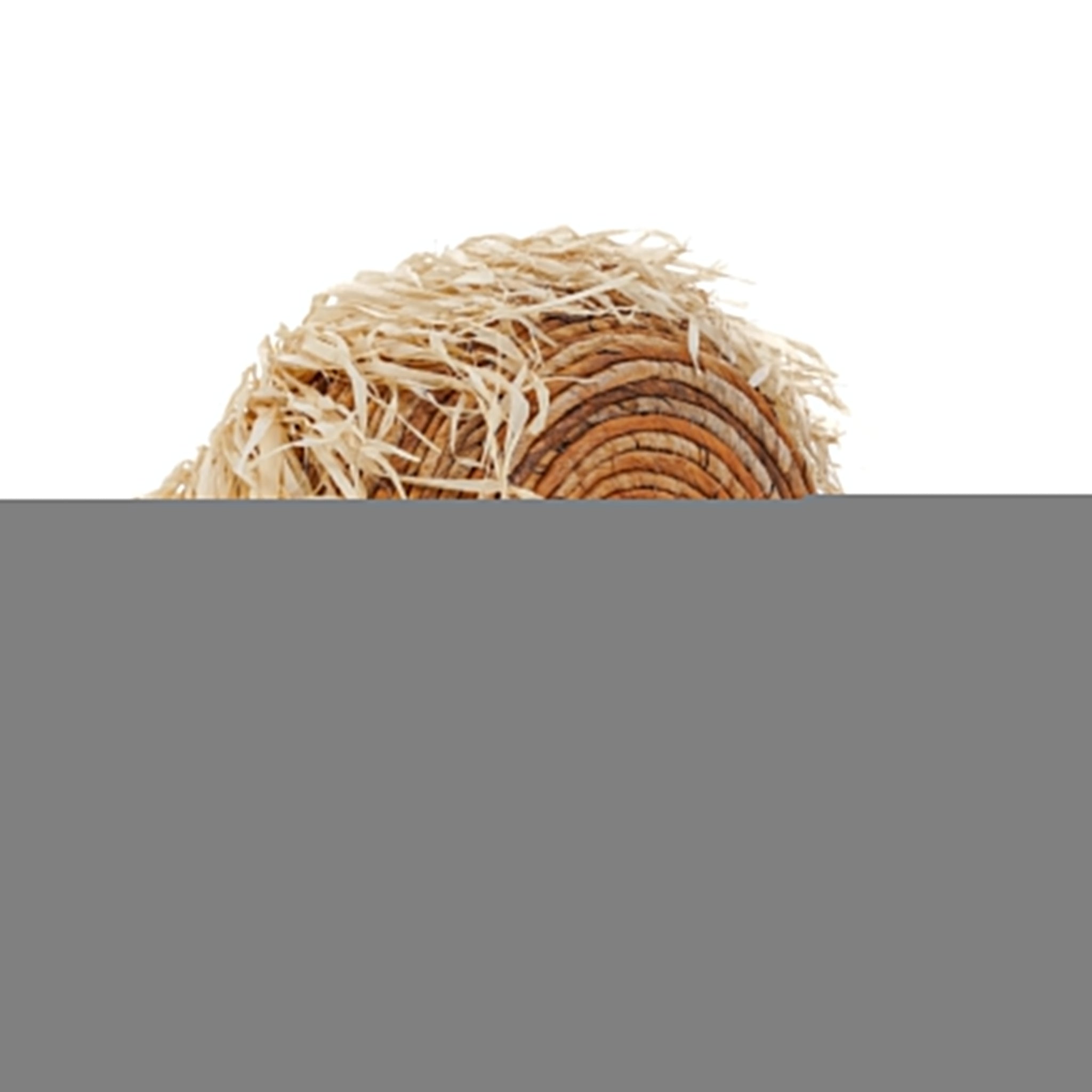 The Raffia Basket - M