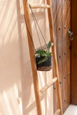 The Banana Plant Hanger - Natural Black - S