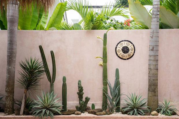 The Cozumel Plate - Small